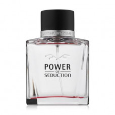 Antonio Banderas Power of Seduction Toilet water men's, 100 ml (TESTER)