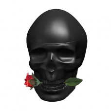 Christian Audigier Ed Hardy Skulls & Roses Men Toilet water of men's, 100 ml