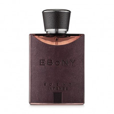 Fragrance World Ebony Scent Intense the Perfumed water men's, 100 ml (TESTER)