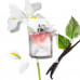 Lancôme La Vie Est Belle the Perfumed water of female, 50 ml