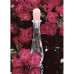 Laura Biagiotti Lovely Laura Toilet water of female, 25 ml
