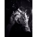 Nikos Sculpture pour Homme Toilet water of men's, 30 ml