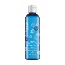 The Lirene antibacterial liquid soap Sweet raspberry and an aloe, for dry skin, 250 ml (spare wheel)