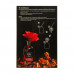 Aromadiffuzor Sweet Home Luxury Diffuser Krasny grapes and color of pomegranate, with a red rose, 250 ml