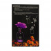 Aromadiffuzor Sweet Home Luxury Diffuser Lawand and a Provencal peony, with a violet rose, 250 ml