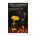 Aromadiffuzor Sweet Home Luxury Diffuser Wanil and amber, with a yellow rose, 250 ml