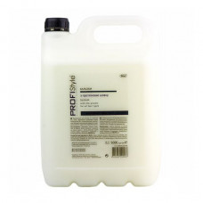 PROFIStyle Basic Balsam balm with silk proteins, for all types of hair, 5 l