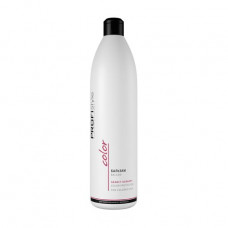 PROFIStyle Color balm of Zashchita of color, for a dyed hair, 1 l
