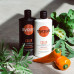 Syoss Color Conditioner balm with a camellia flower, for the painted and tinted hair, 440 ml