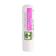 Balm for lips of BIOselect Lip Balm with a diktameliya, 4.4 g