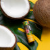 Balm for lips of Orientana Coconut Energy Natural Lip Balm Coconut energy, 4.2 g