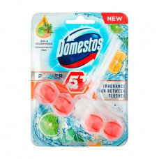The block for clarification of a toilet bowl of Domestos Power 5+ threefold, Lyme and the Cedar, 55 g