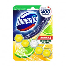 The block for cleaning of a toilet bowl of Domestos Power 5 Freshness of a lime, 55 g