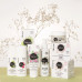 The day cream for the person Lirene Natura Eco Cream Black elder smoothing and calming for sensitive and kuperozny skin, 50 ml