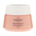 Day cream for the person Vichy Neovadiol Rose Platinum Cream for mature skin, 50 ml