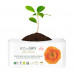 Daily what laying of ECO by Naty Large, 28 pieces