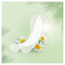 Naturella Camomile Light Multiform panty liners, 20 pieces