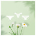 Naturella Camomile Light Multiform panty liners, 20 pieces