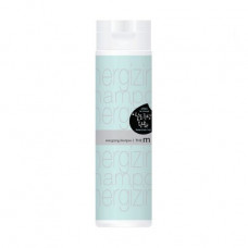 Power Welcos Mugens The M Energizing Shampoo shampoo against a hair loss, 250 ml
