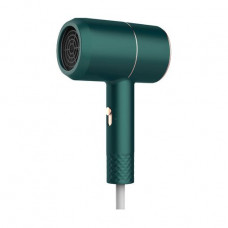 The hair dryer for hair of VGR Voyager V-431 DC Motor of 1000 W, green