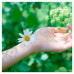 Sanitary pads for critical days of Naturella Ultra Calendula Normal, 10 pieces