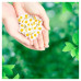 Sanitary pads for critical days of Naturella Ultra Calendula Normal, 10 pieces