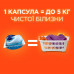 The All washing capsules Tide in 1 Pods Color, 12 washings, 12 pieces
