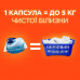 The All washing capsules Tide in 1 Pods the Alpine freshness, 23 washings, 23 pieces
