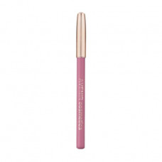 Pencil for lips of Avenir Cosmetics 725 the Dry rose, 1.8 g