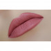 Pencil for lips of WoBs L01 of cold pink, 2 g