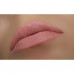 Pencil for lips of WoBs L16 of neon pale peach, 2 g