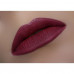 Pencil for lips of WoBs L20 of wine, 2 g