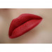 Pencil for lips of WoBs L24 of classical red, 2 g