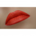 Pencil for lips of WoBs L25 of carrot-red nacreous, 2 g