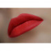 Pencil for lips of WoBs L26 of scarlet, 2 g