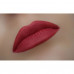 Pencil for lips of WoBs L27 of terracotta, 2 g