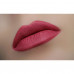 Pencil for lips of WoBs L29 of crimson, 2 g