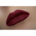Pencil for lips of WoBs L35 of cold cherry, 2 g