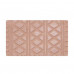 Compact blush for the person Fennel Classic Blush 01, 3 g