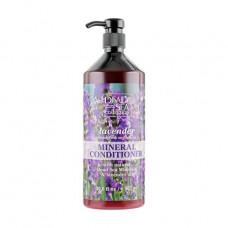 The Dead Sea Collection conditioner with minerals of the Dead Sea and oil of a lavender of 907 ml