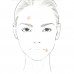 Concealer for the person L'Oreal Paris Alliance Perfect The One 3N Creamy Beige, 6.8 ml