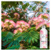 The concentrated fabric softener Lenor Blossoming of a Silk Acacia, 1.38 l