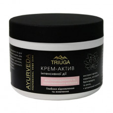 Cream asset for the injured and dyed hair of Triuga Ayurveda Professional Home Care Deep restoration and food, 300 ml