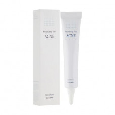 The cream for problem skin of the person Pyunkang Yul Acne Spot Cream healing 15 ml