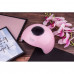 Lamp for the Pink gel polish Star 6 UV/LED, 24 W