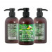 Dead Sea Collection body lotion with minerals of the Dead Sea and extracts of hemp, a coco and lime, 500 ml