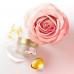 Musk for hair of Pantene Pro-V Miracles Body & Strength Biotin + Rose Water of Sil and volume, 160 ml