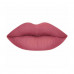 Opaque lipstick pen for lips of Fennel Matte Lipstick Pencil 51, 2.2 g