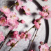 Milk leaving for Nivea body an Oriental cherry Flower, with jojoba oil, 200 ml