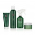 The Rituals The Ritual Of Jing Calming Routine set for a body (shower gel, 200 ml + aroma for the house, 250 ml + cream, 100 ml + a srub, 125 g)
